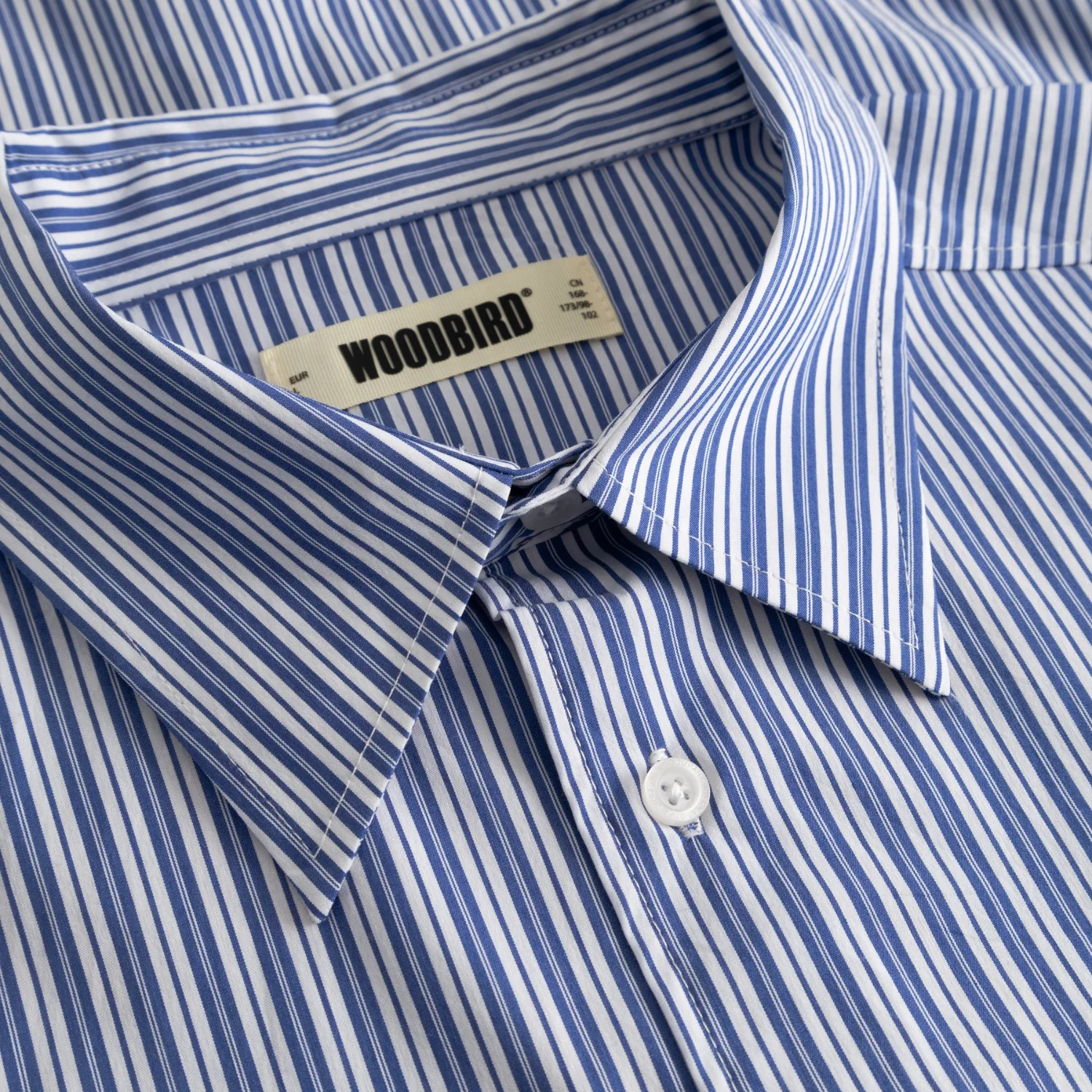 BROOKS LION SHIRT - Image 6