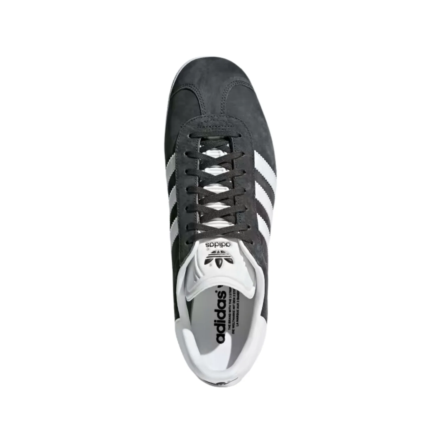 GAZELLE - Image 5