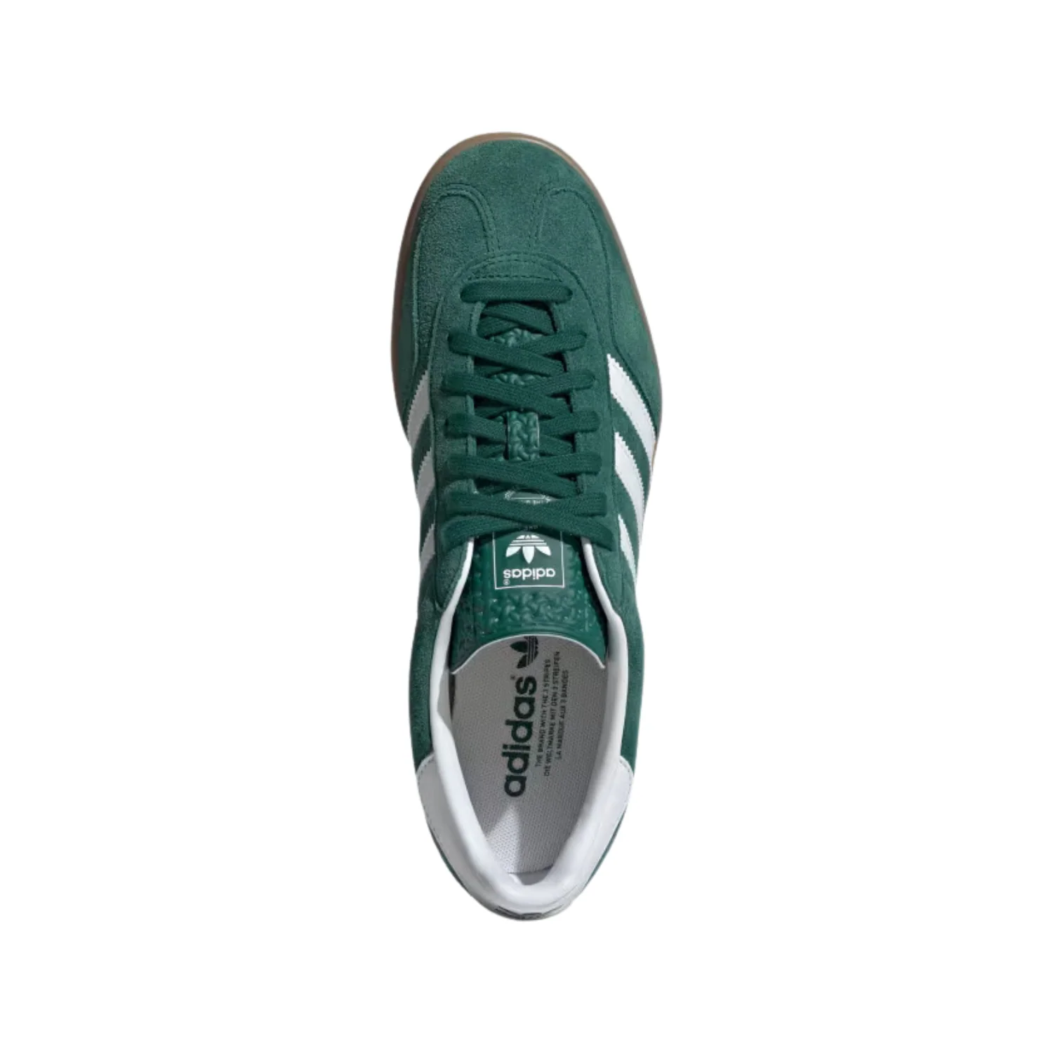 GAZELLE INDOOR - Image 3