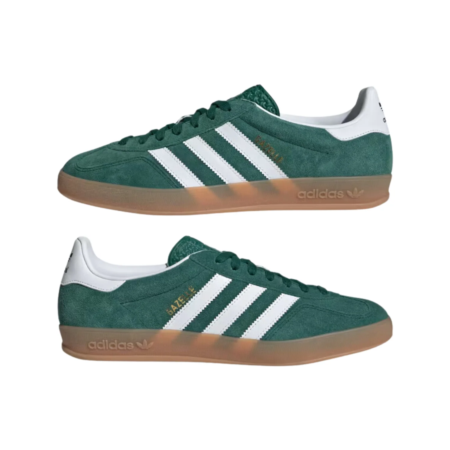 GAZELLE INDOOR - Image 5