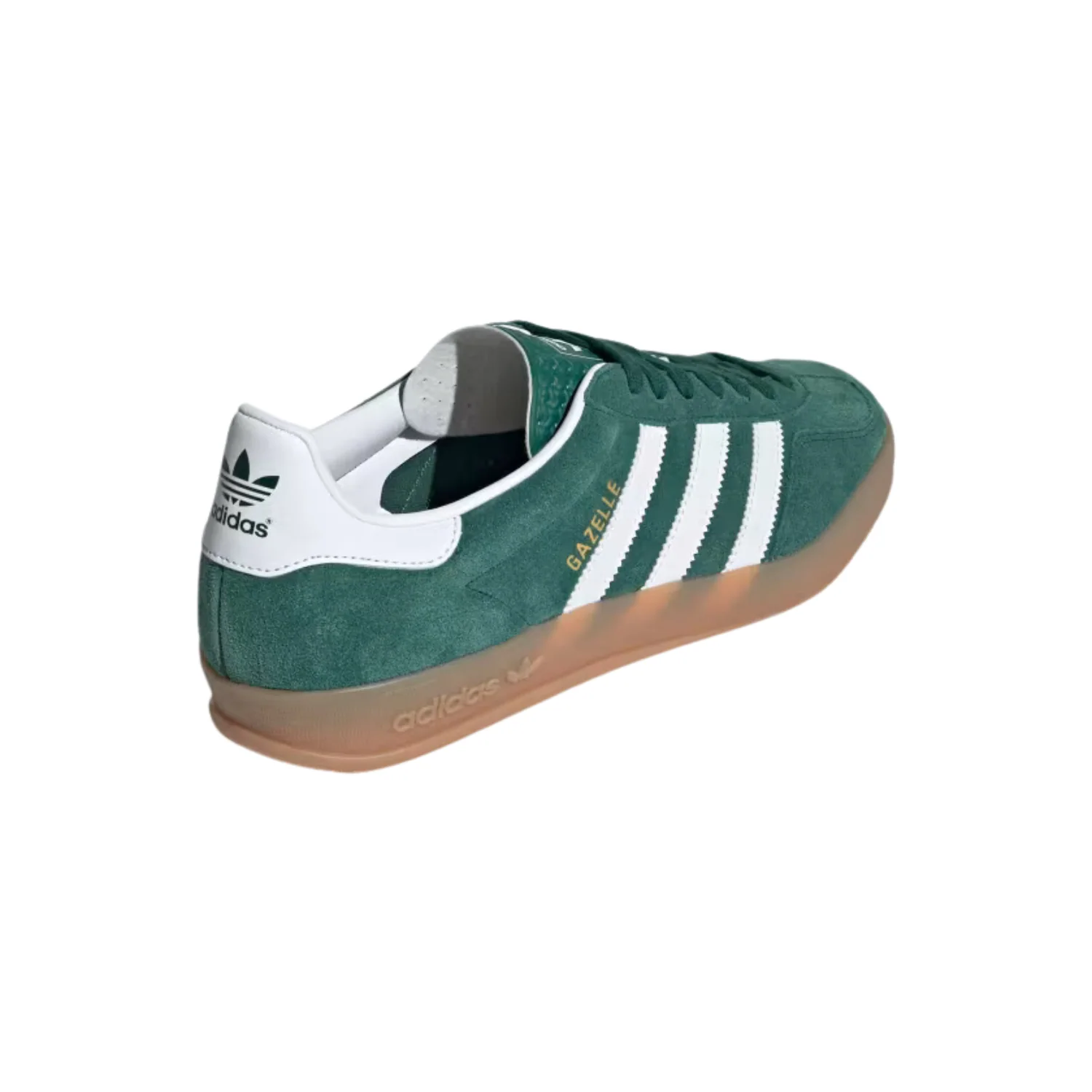 GAZELLE INDOOR - Image 7