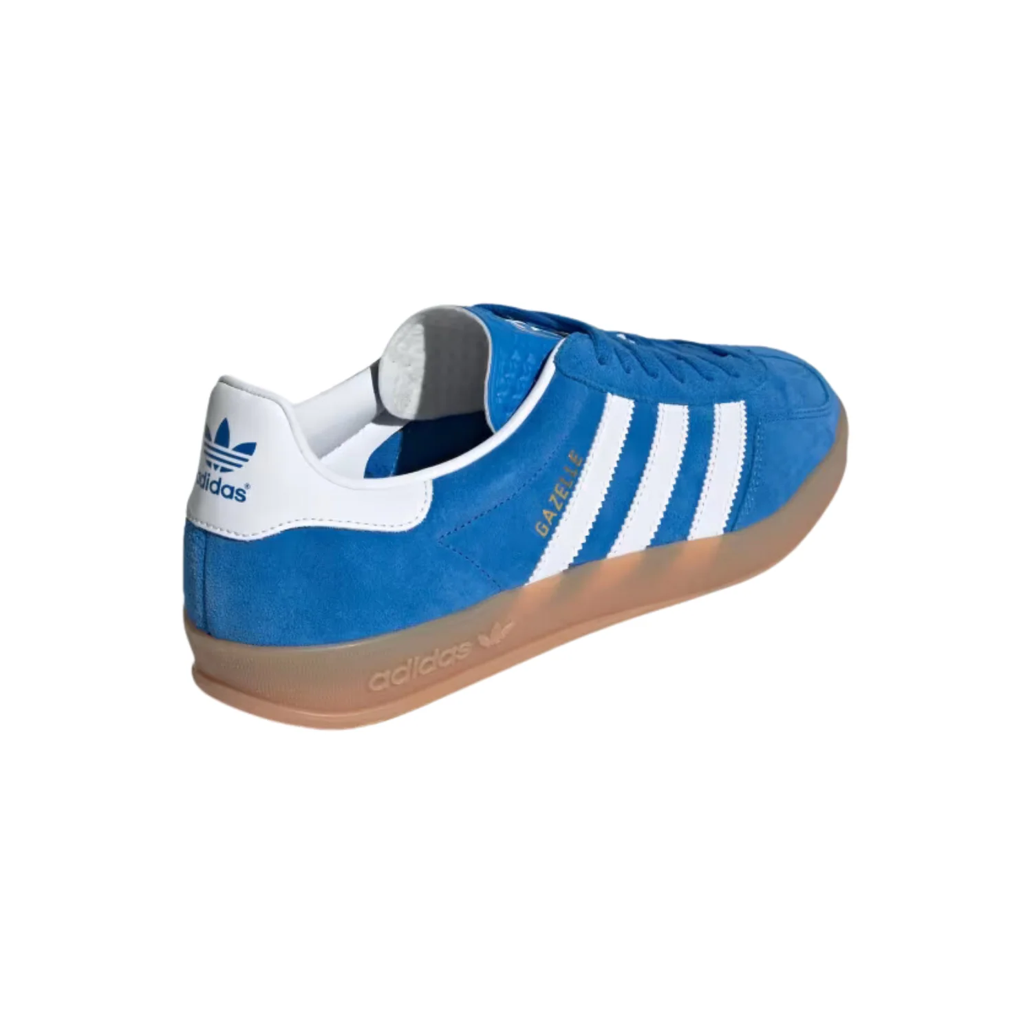 GAZELLE INDOOR - Image 5