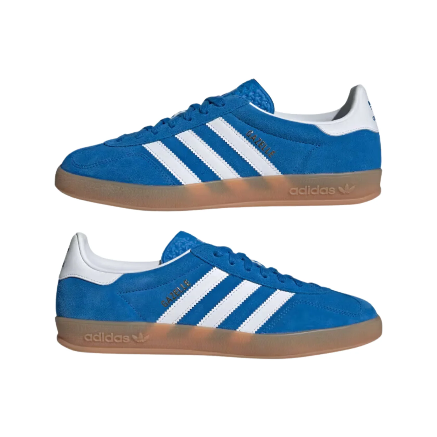 GAZELLE INDOOR - Image 6