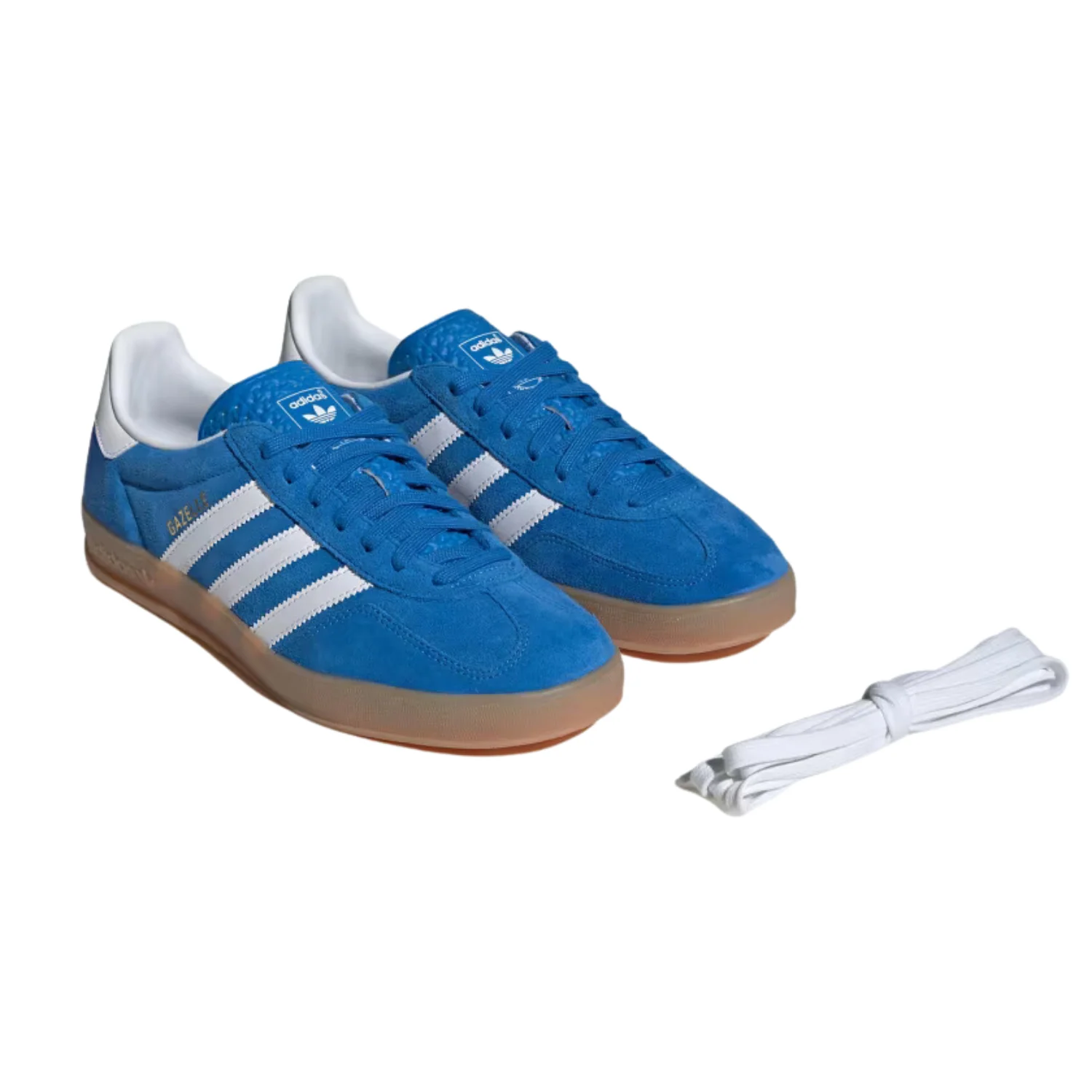 GAZELLE INDOOR - Image 7