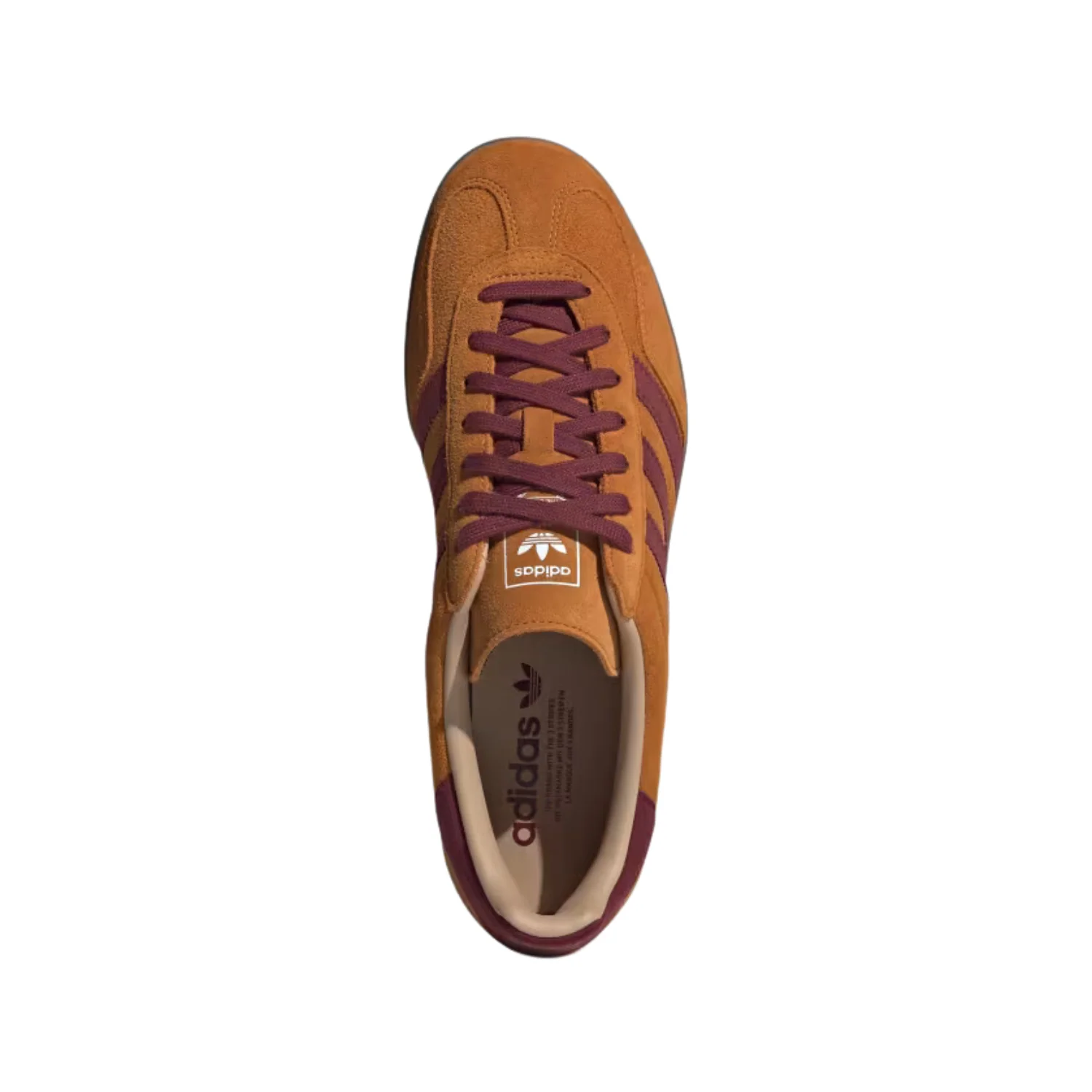 GAZELLE INDOOR - Image 2