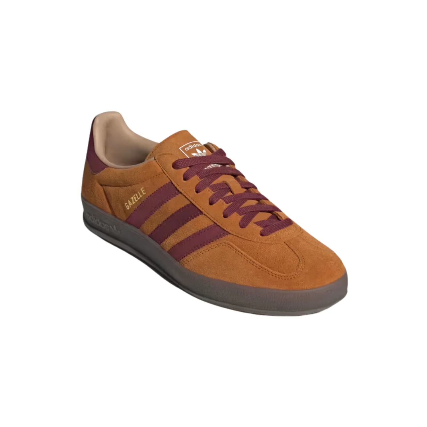 GAZELLE INDOOR - Image 4