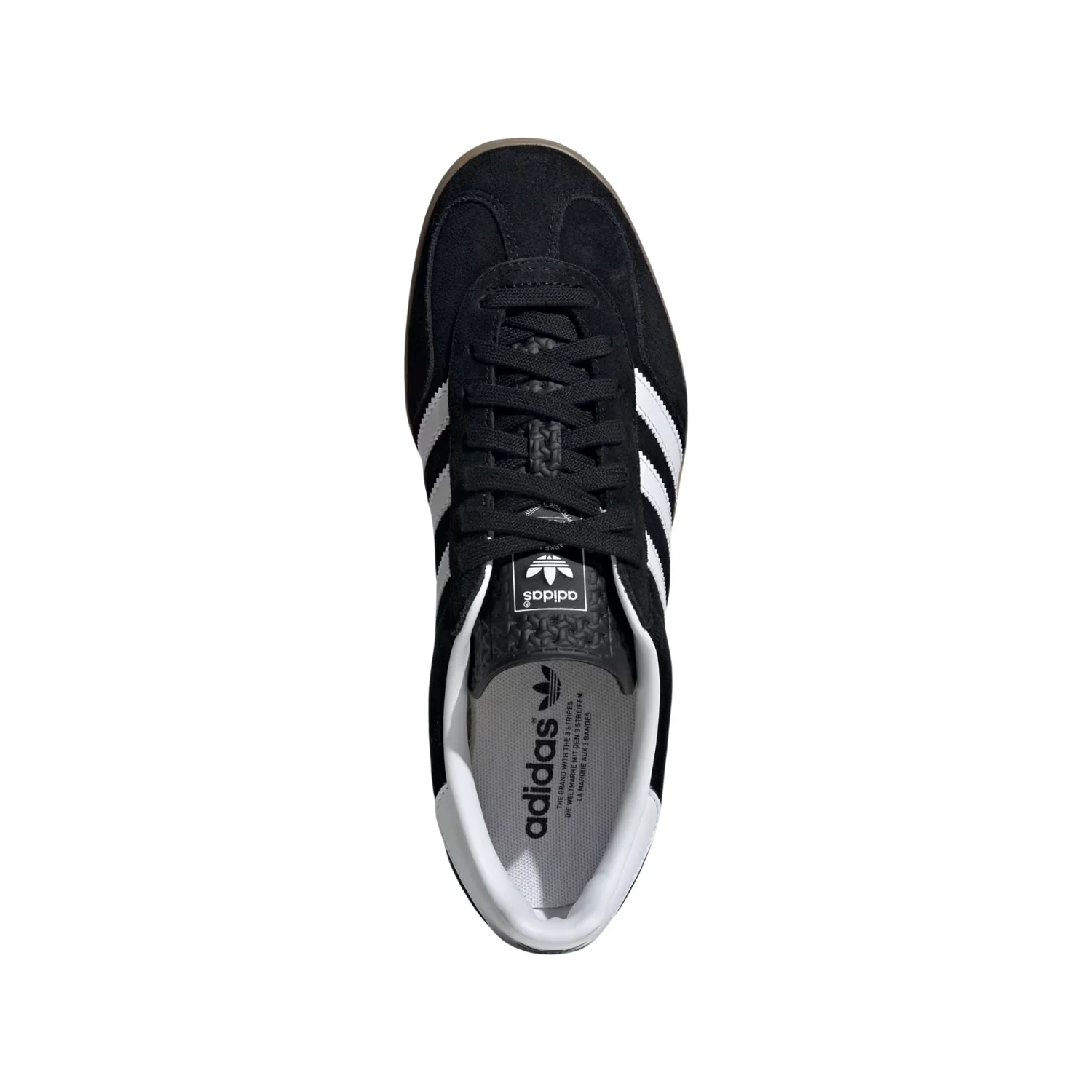 GAZELLE INDOOR - Image 4
