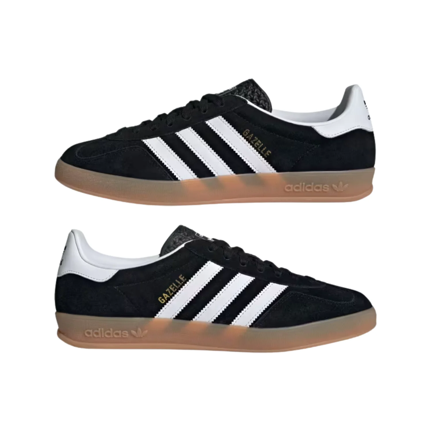 GAZELLE INDOOR - Image 5