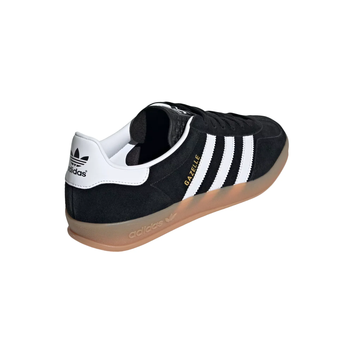 GAZELLE INDOOR - Image 6