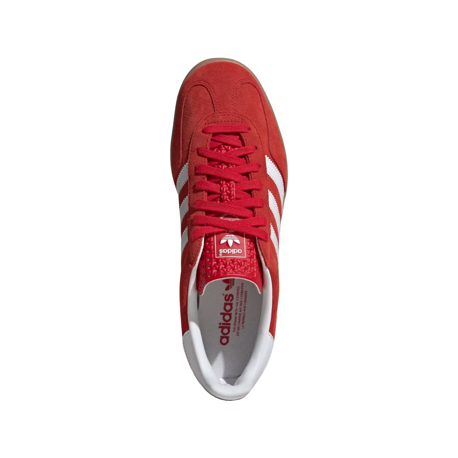 GAZELLE INDOOR - Image 3