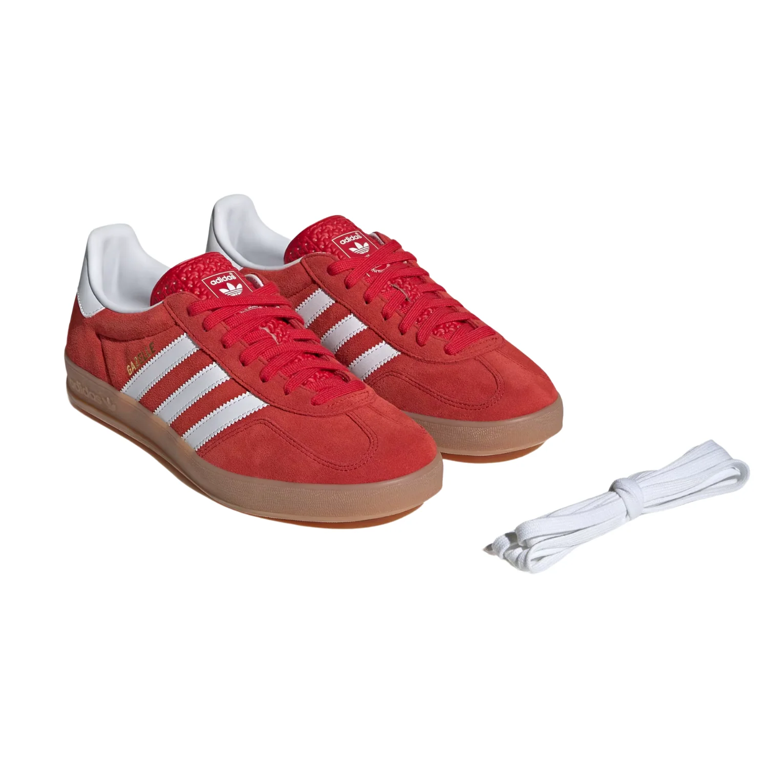 GAZELLE INDOOR - Image 4