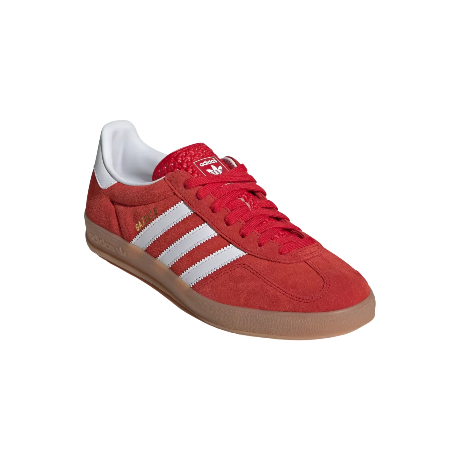 GAZELLE INDOOR - Image 6