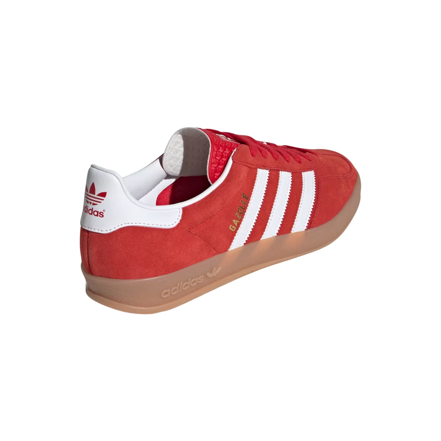 GAZELLE INDOOR - Image 7