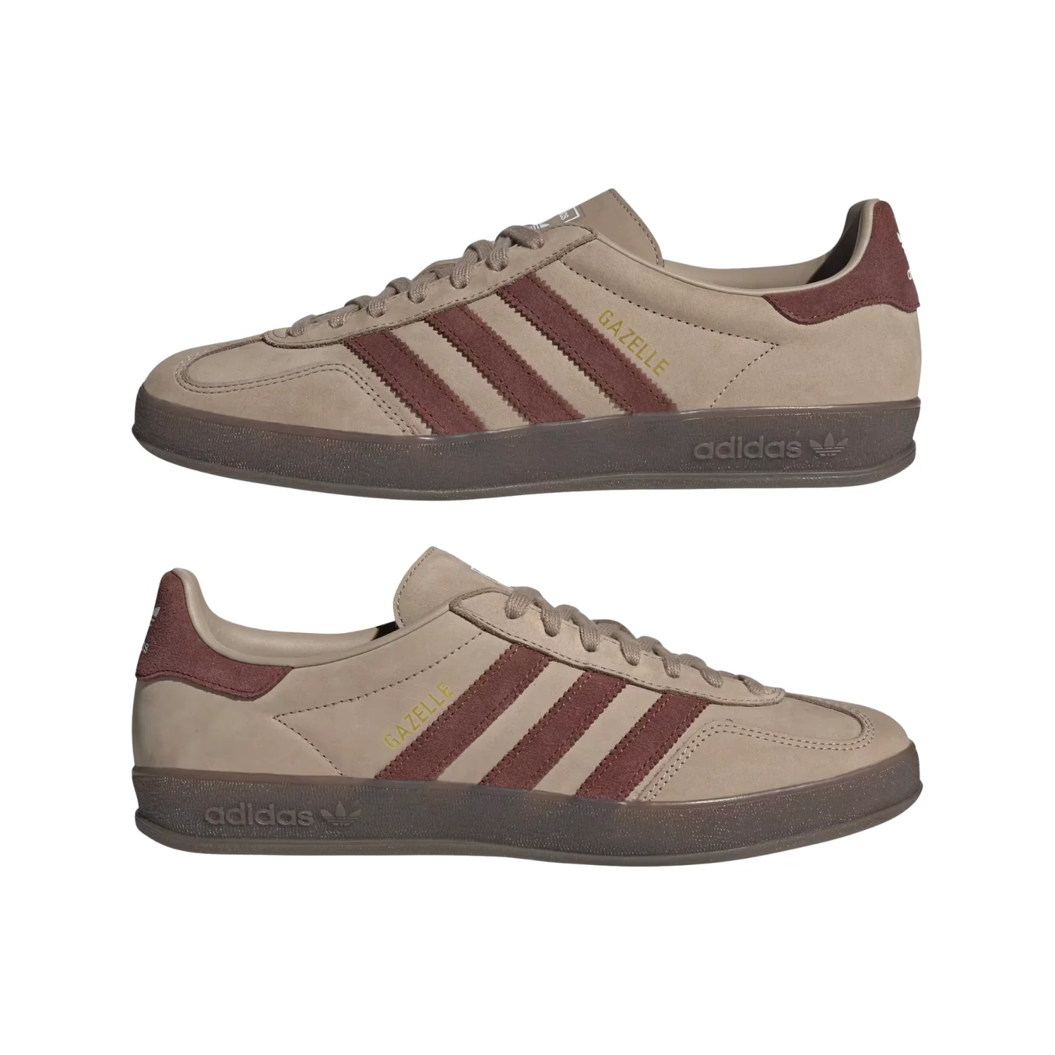 GAZELLE INDOOR - Image 5