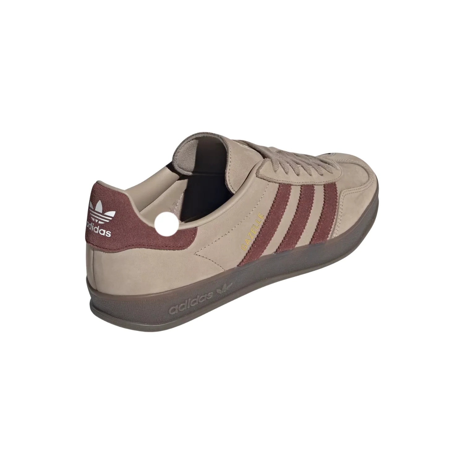 GAZELLE INDOOR - Image 6