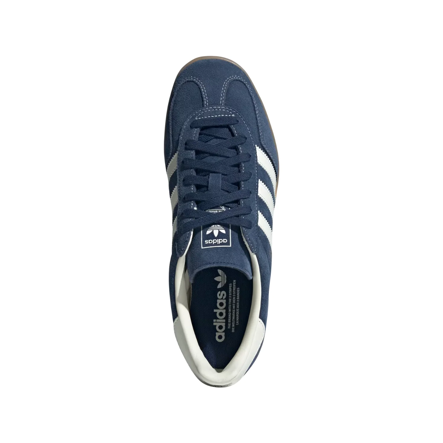 GAZELLE INDOOR - Image 4