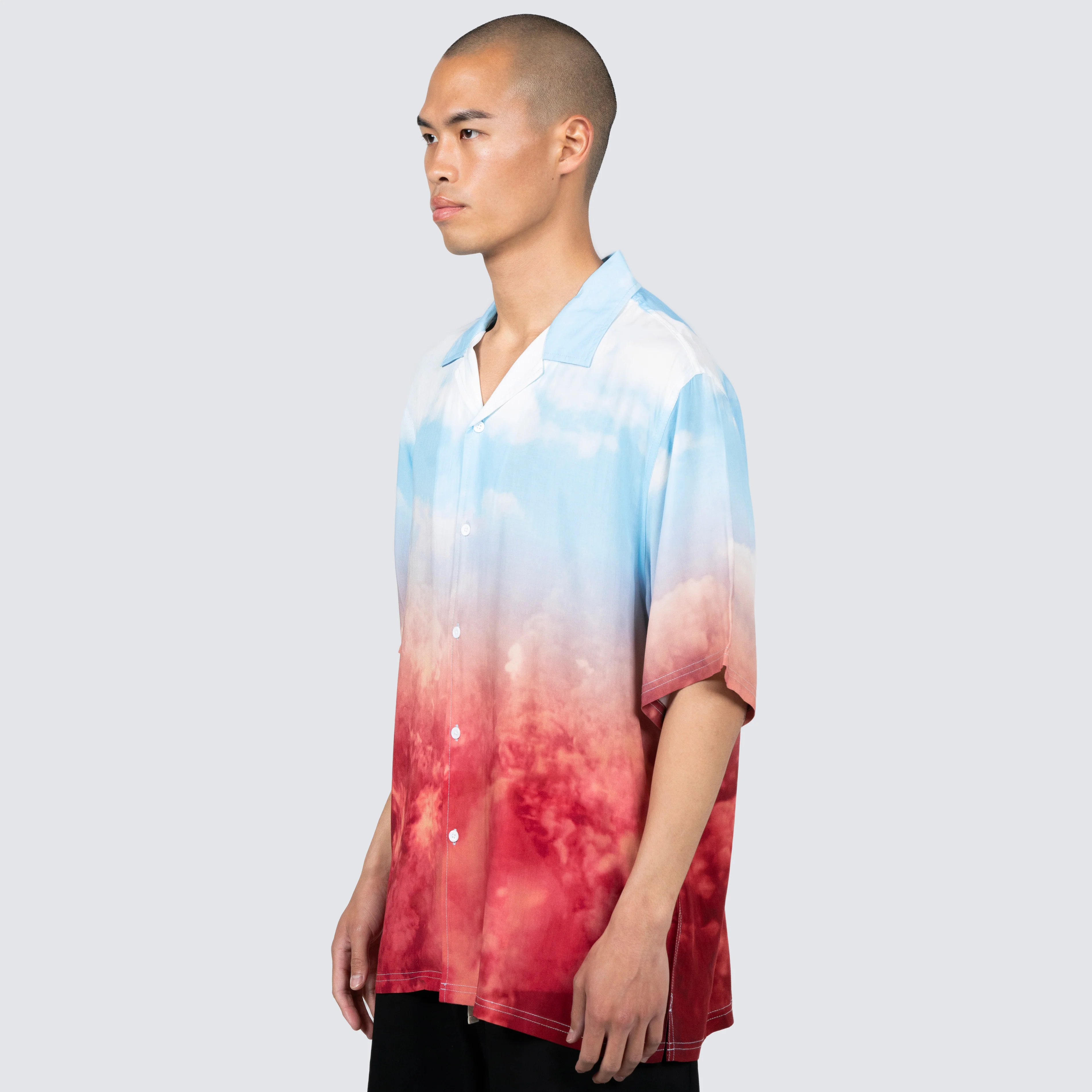 HEAVEN AND HELL BUTTON DOWN - Image 3
