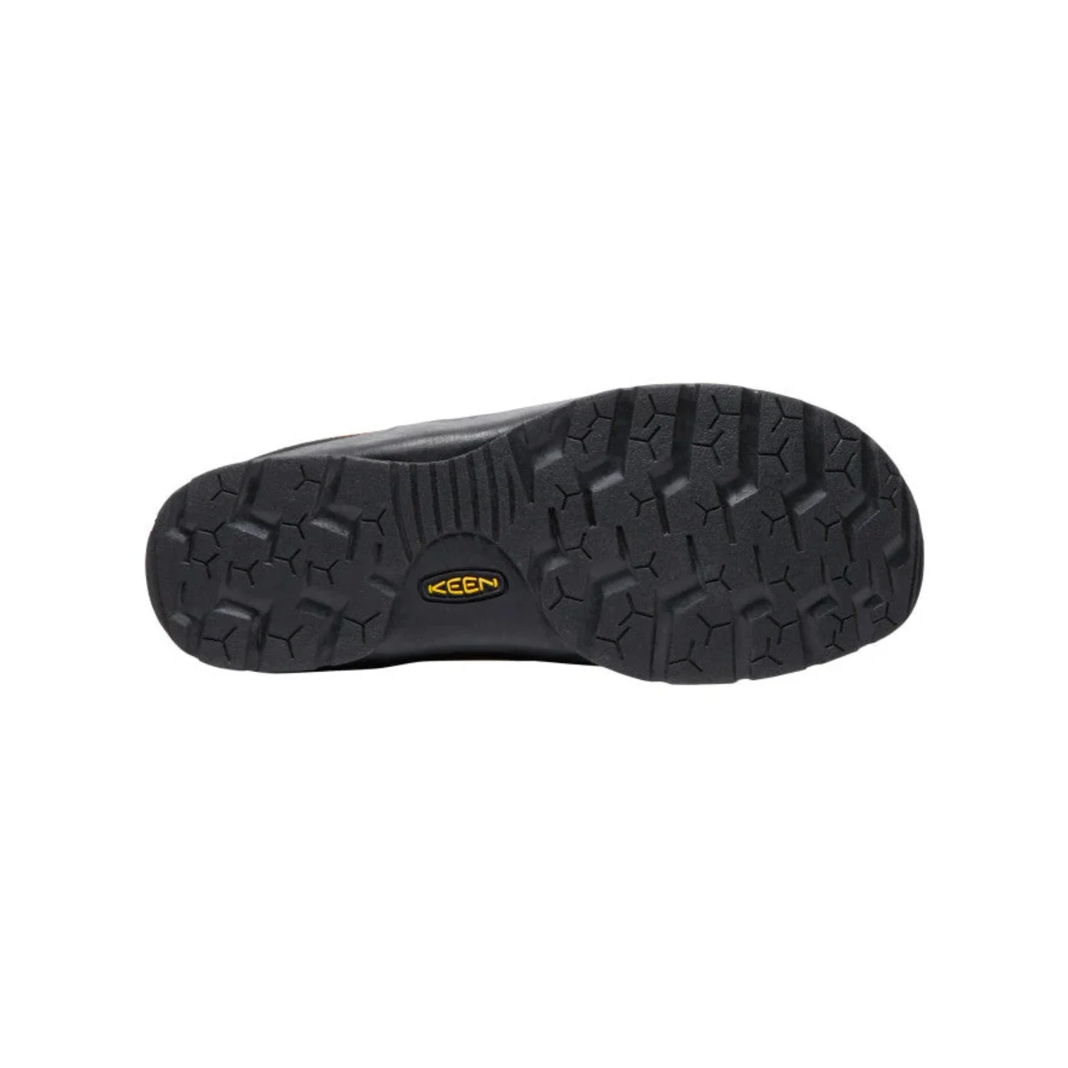 JASPER - Image 11