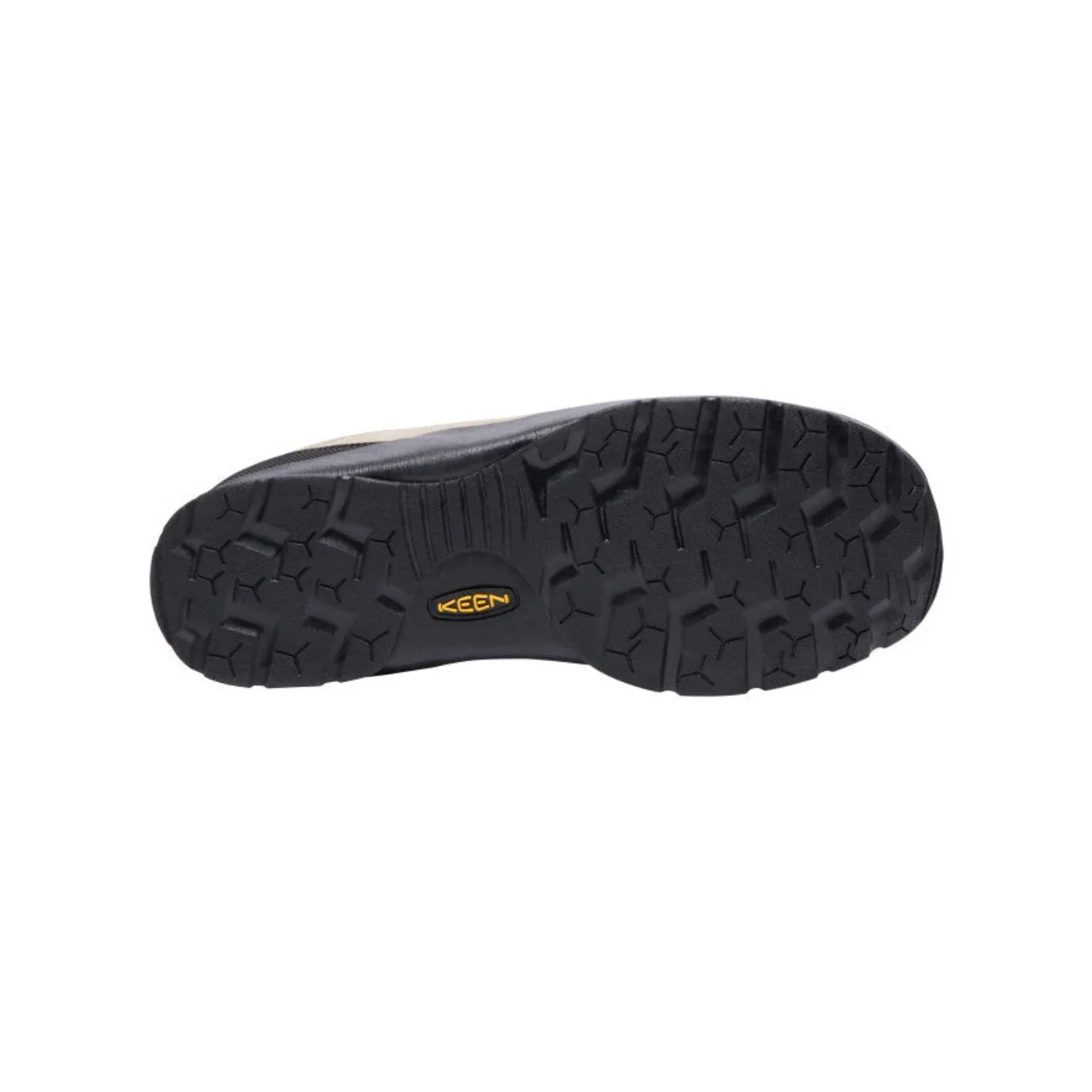JASPER - Image 5