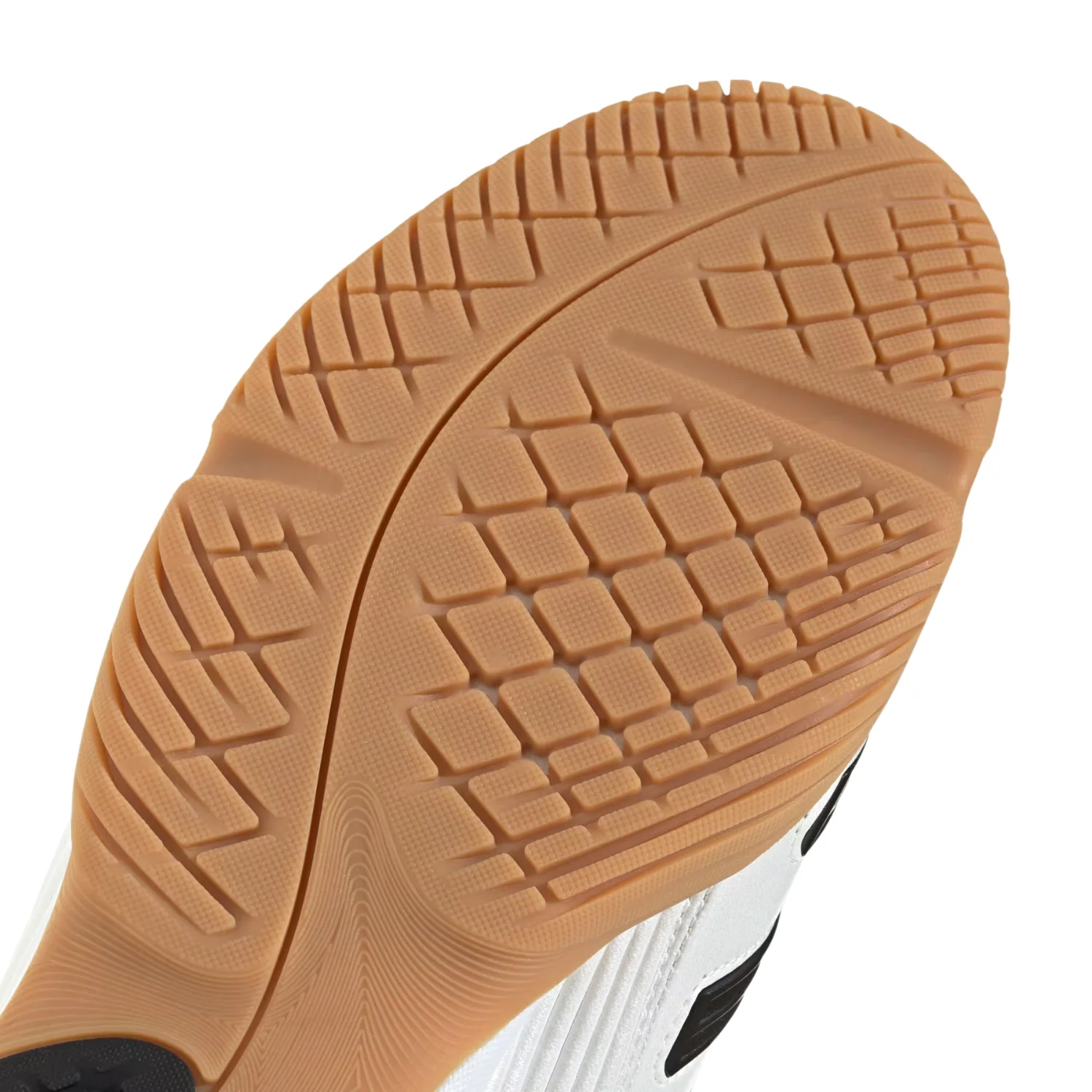 PREDATOR SALA - Image 8
