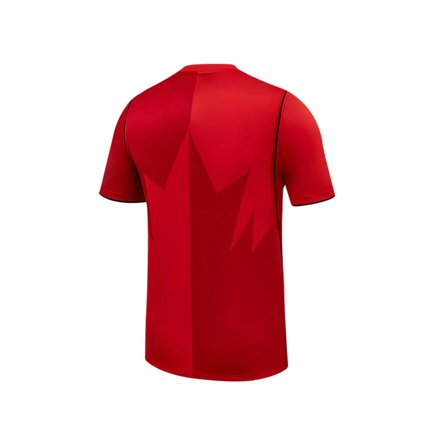 STADIUM HOME CANADA JERSEY - Image 2